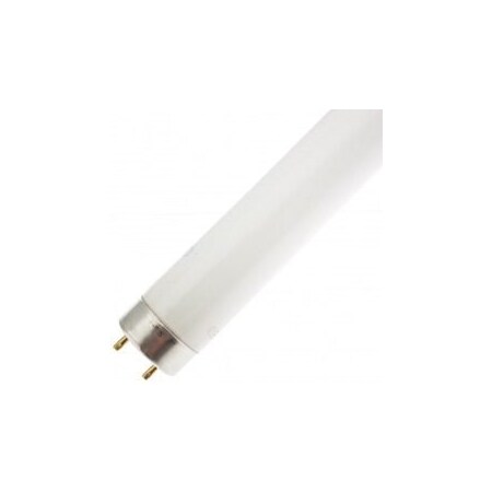 Ilc Replacement For LIGHT BULB LAMP, FO32T8PROMOLUX FO32T8/PROMOLUX